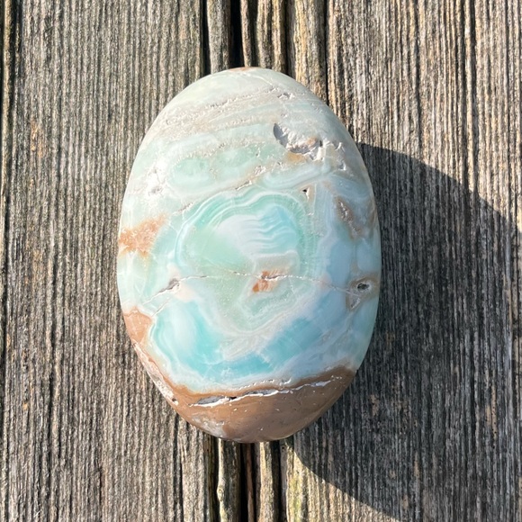 Caribbean Calcite Palm - Picture 4 of 5